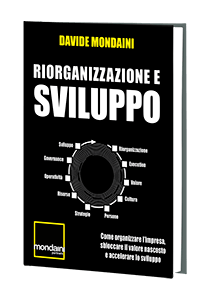 mockUp_libro_RIORGANIZZAZIONE-E-SVILUPPO mockUp libro RIORGANIZZAZIONE E SVILUPPO
